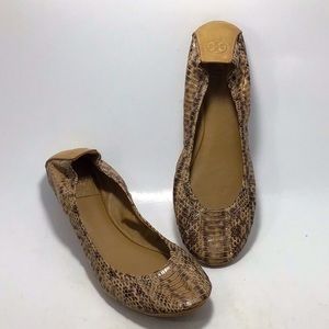 Tory Burch Eddie Watersnake Ballet Clay Flat 9 M